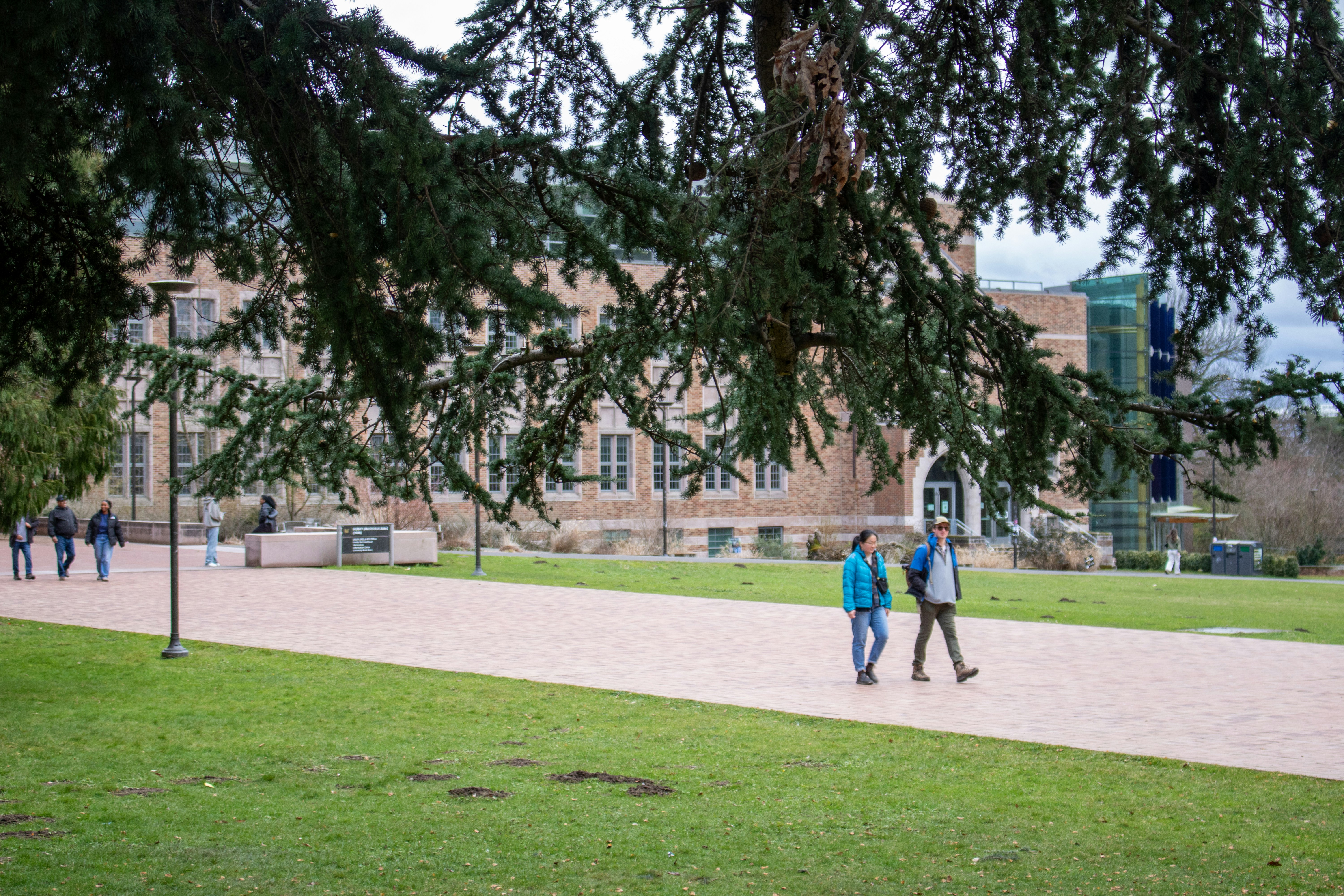 Students walking together on a university campus